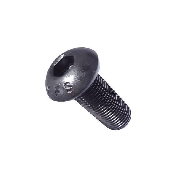 Newport Fasteners #10-32 Socket Head Cap Screw, Black Oxide Alloy Steel, 1/4 in Length, 100 PK 900768-100